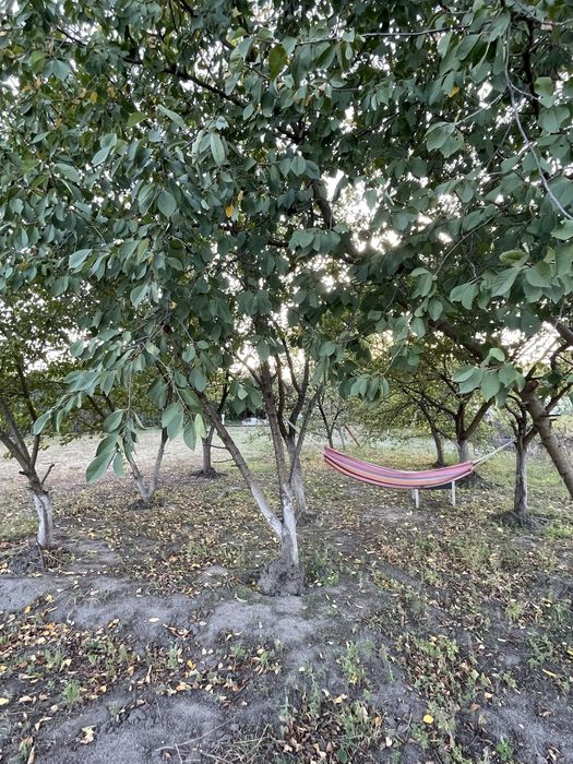 Сдам  дом в центре Обуховки р-н АТБ