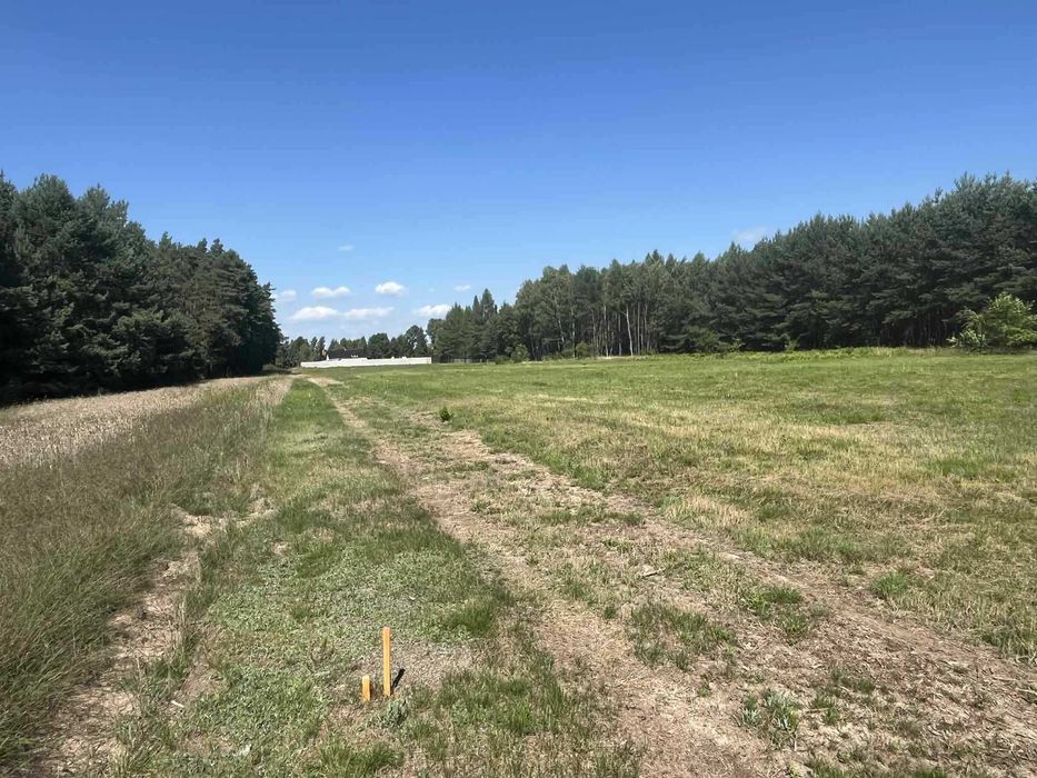 Działki budowlane ZALESNA (Gmina Bełchatów)