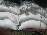 Продам цукор, мішок 50 кг.