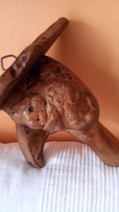 Półka z korzenia antyk