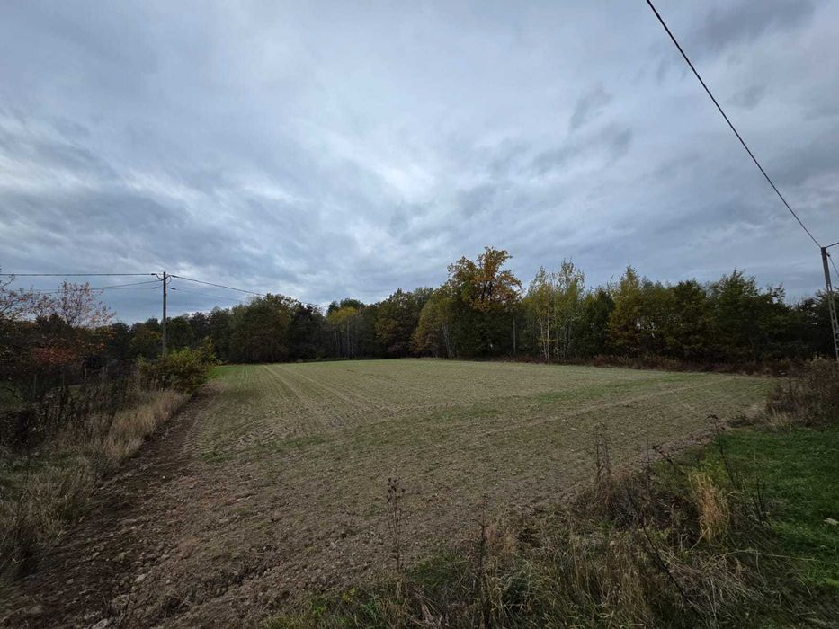 Wyjątkowa działka Pachnowola