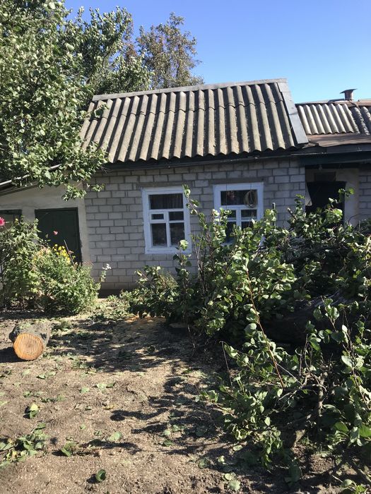 Спил деревьев Аккуратно с опытом 8лет Омоложение сада