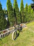 Bmx mongoose legion 100