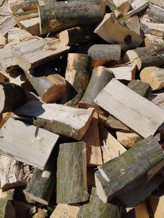 Drewno opałowe buk