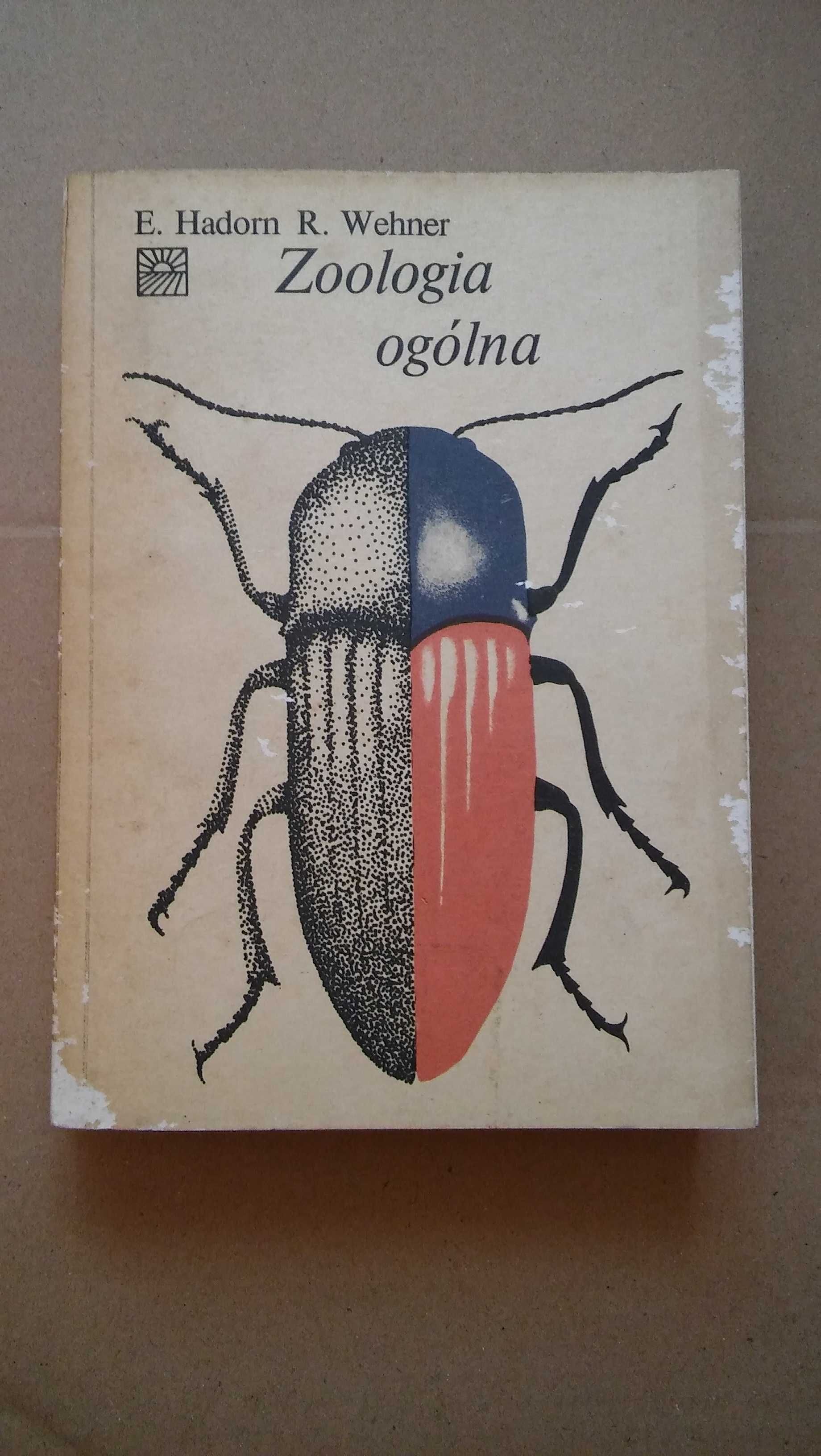 Zoologia ogólna E. Hadorn, Wehner