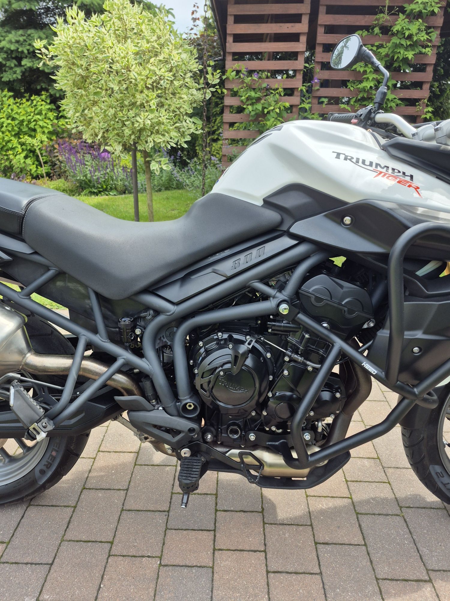 Triumph Tiger  800