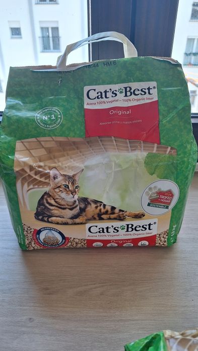 Areia Cat's Best