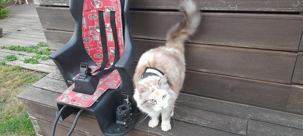 Cadeira de bicicleta para criança