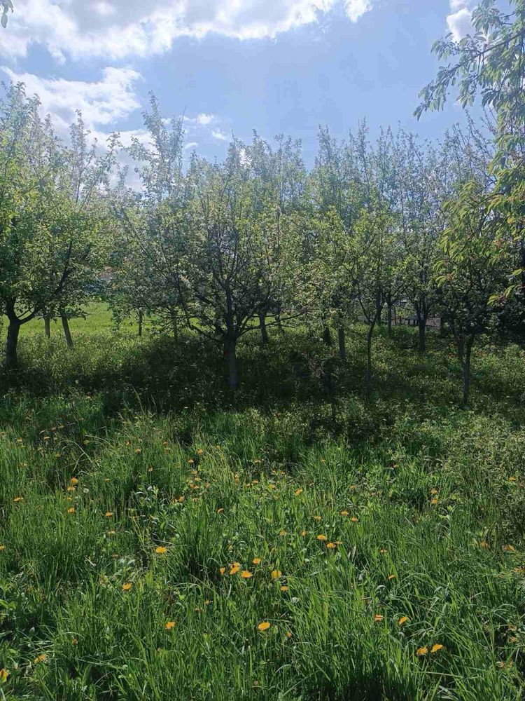 Продається будинок 15 км від м Коломия