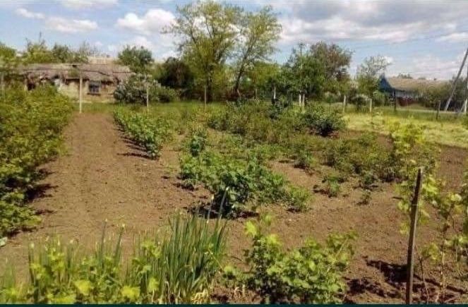 Продам участок в с.Кислица