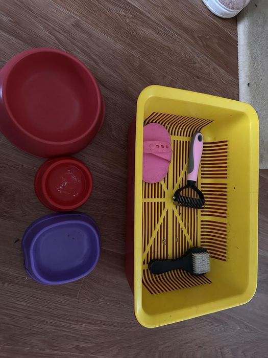 Лоток і миски для корму