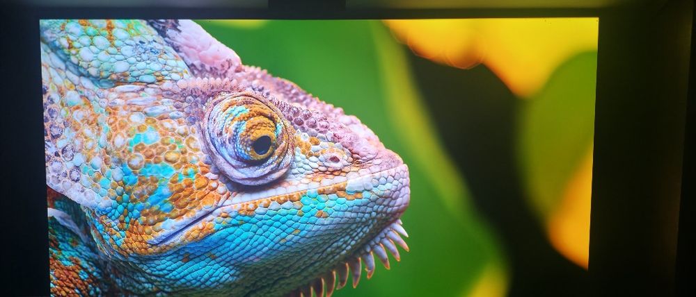 Televisão LG OLED 55B9PUA 55"