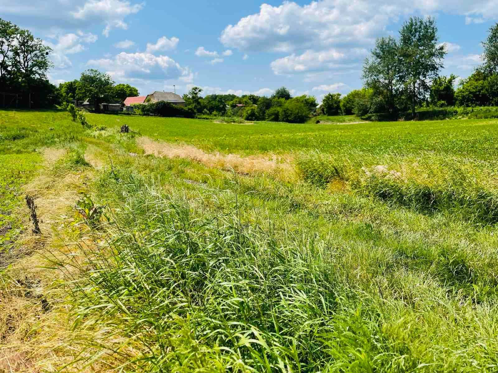 Продам земельну ділянку
