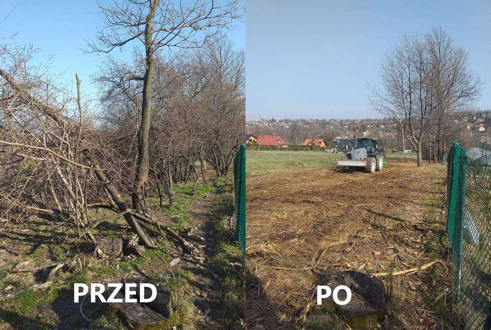 Mulczer Karczowanie Czyszczenie terenu działki Rekultywacja Wycinanie