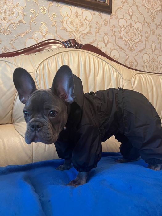 Комбінезон з капюшоном, дощовик