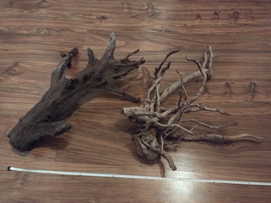 Korzenie do akwarium Red Moor mangrowiec