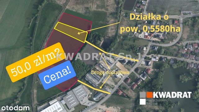 Działka budowlano - inwestycyjna 0,5724ha Kępno