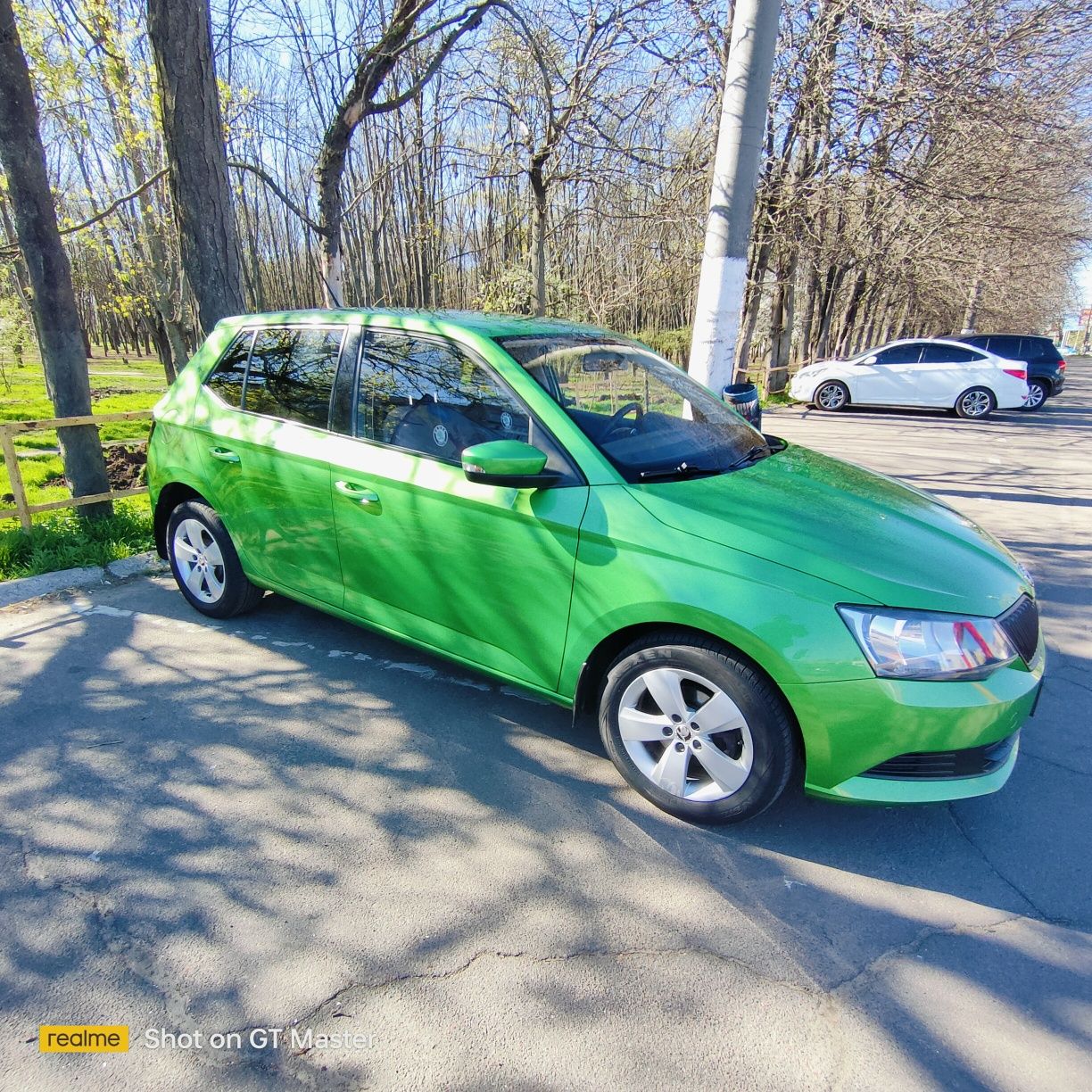 Skoda Fabia Green