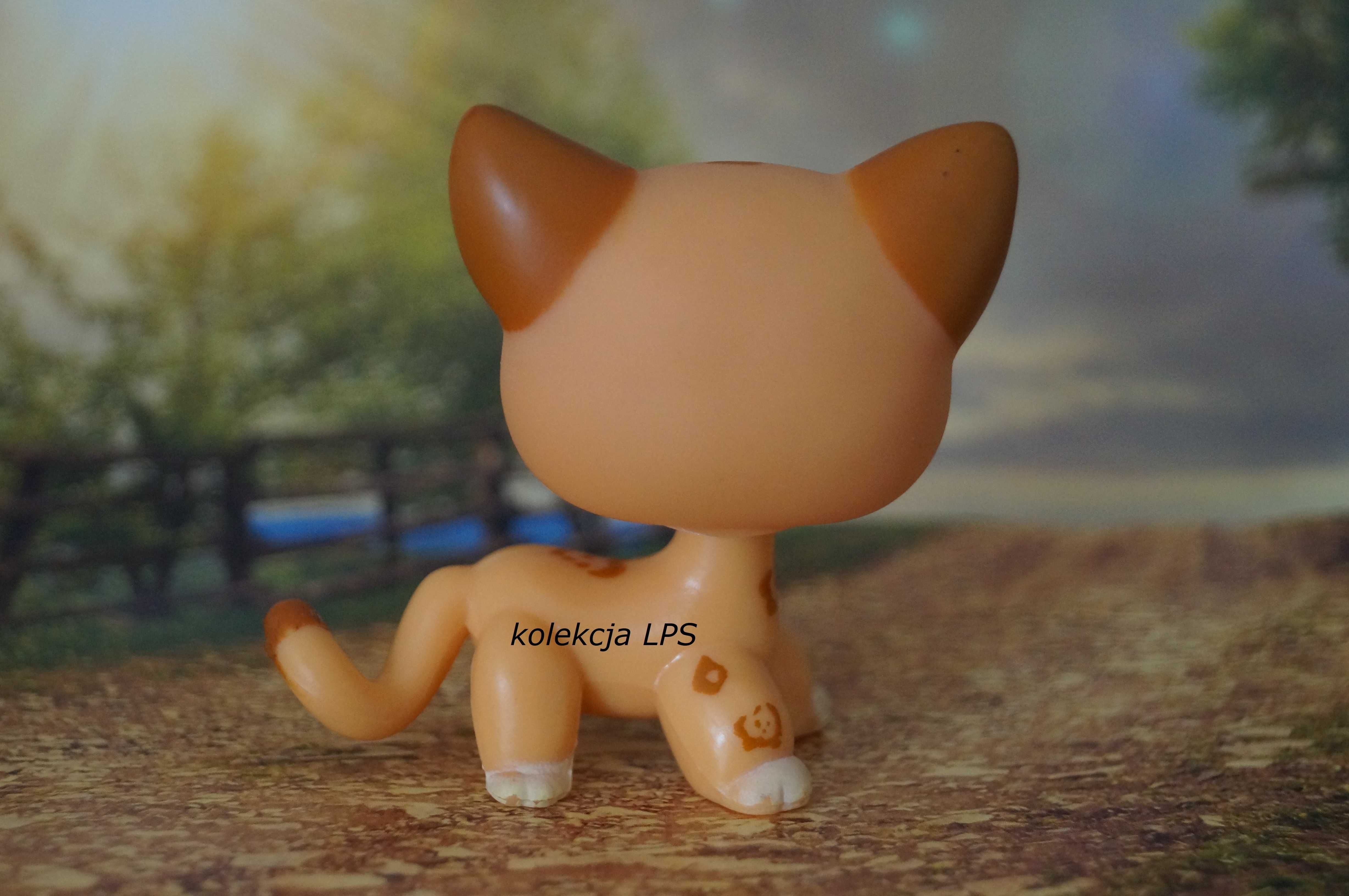 LPS Littlest Pet Shop shorthair #1120 oryginalny kotek oryginał POP