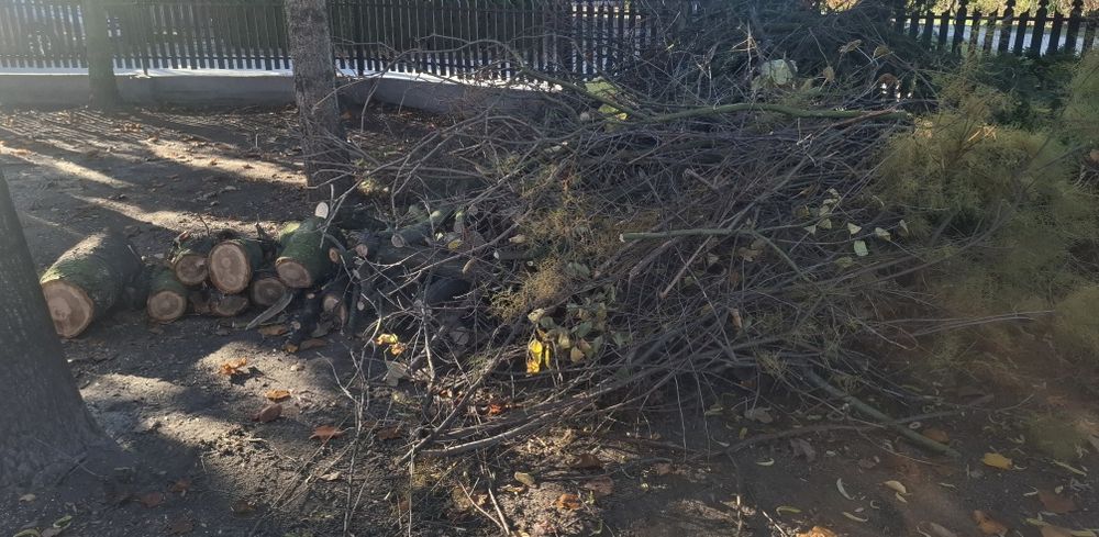 Oddam drewno na opał i gałązki za darmo