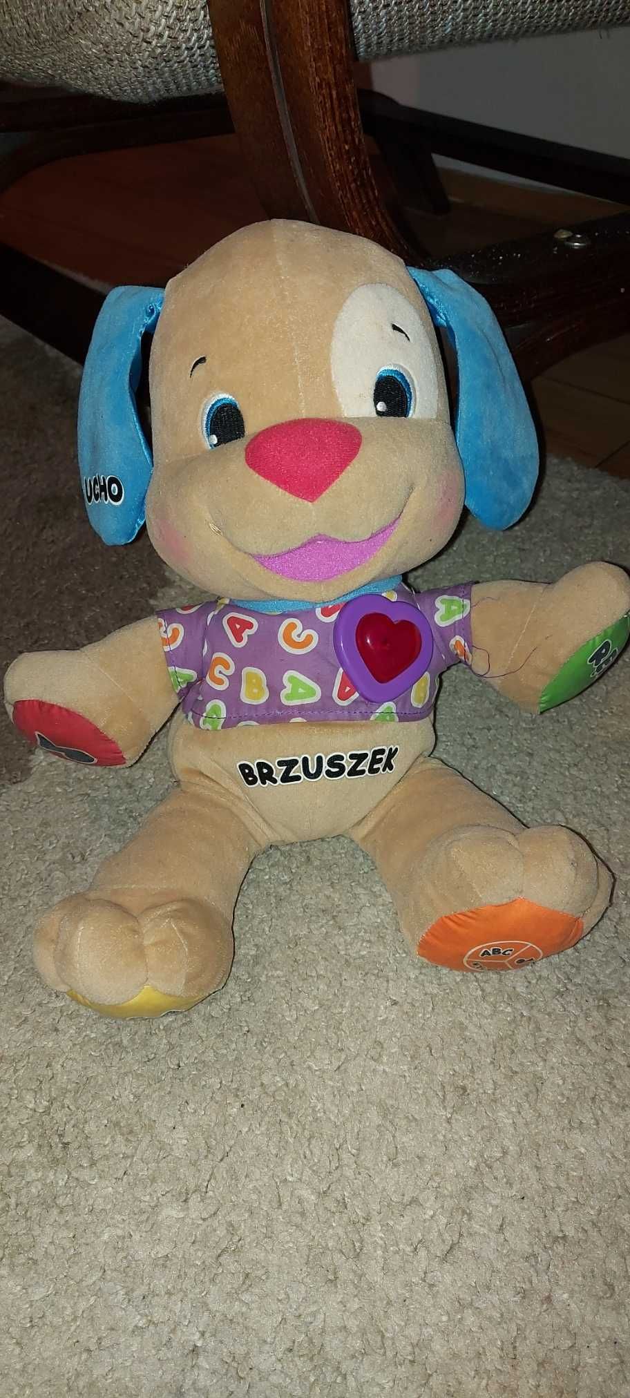 szczeniaczek uczniaczek  z Fisher Price