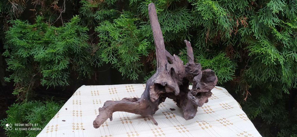 Duży korzeń do akwarium