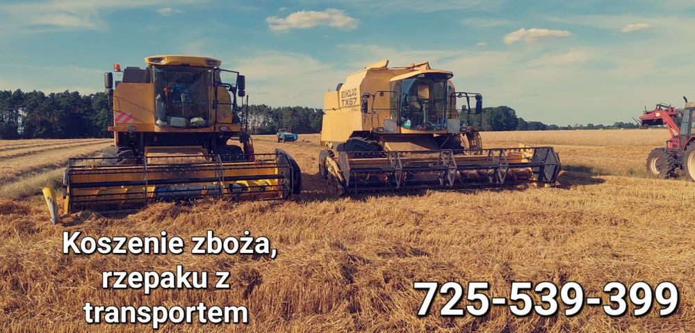 Koszenie kukurydzy na ziarno z transportem