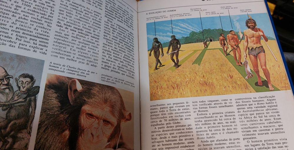 Enciclopedia Mundo moderno
