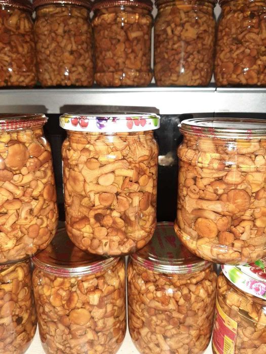 Гриби мариновані лисички