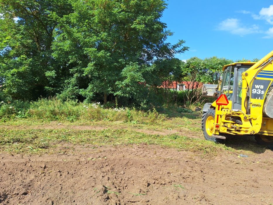 Czyszczenie wycinka drzew na działce posesji