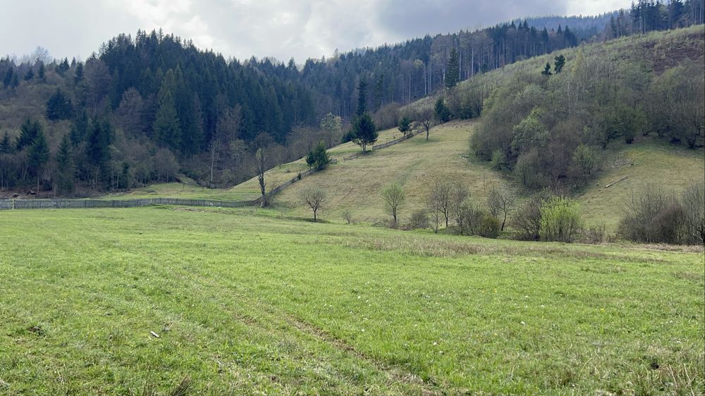 Земля в Карпатах у горах