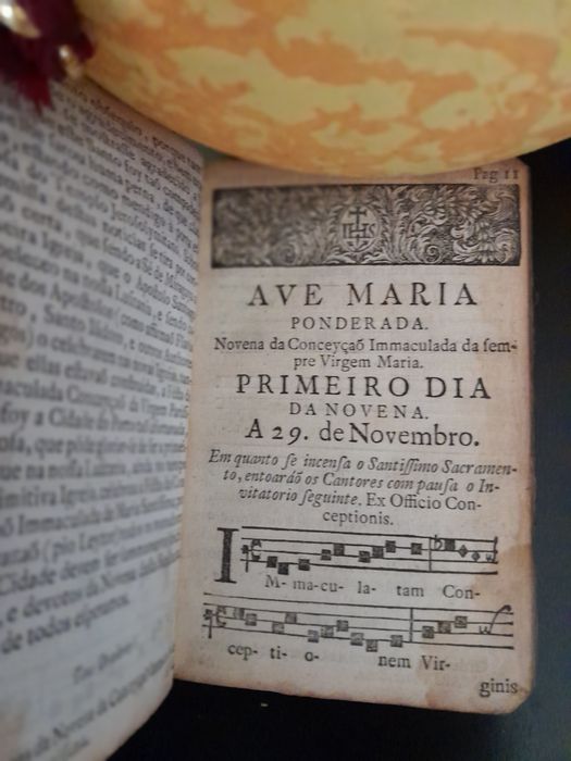 Novena à  virgem Maria