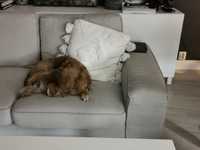 Sofa Ikea kivik kanapa + szezlong ze zdejmowanym pokrowcem