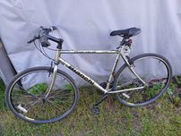 Rower Bianchi szosowy