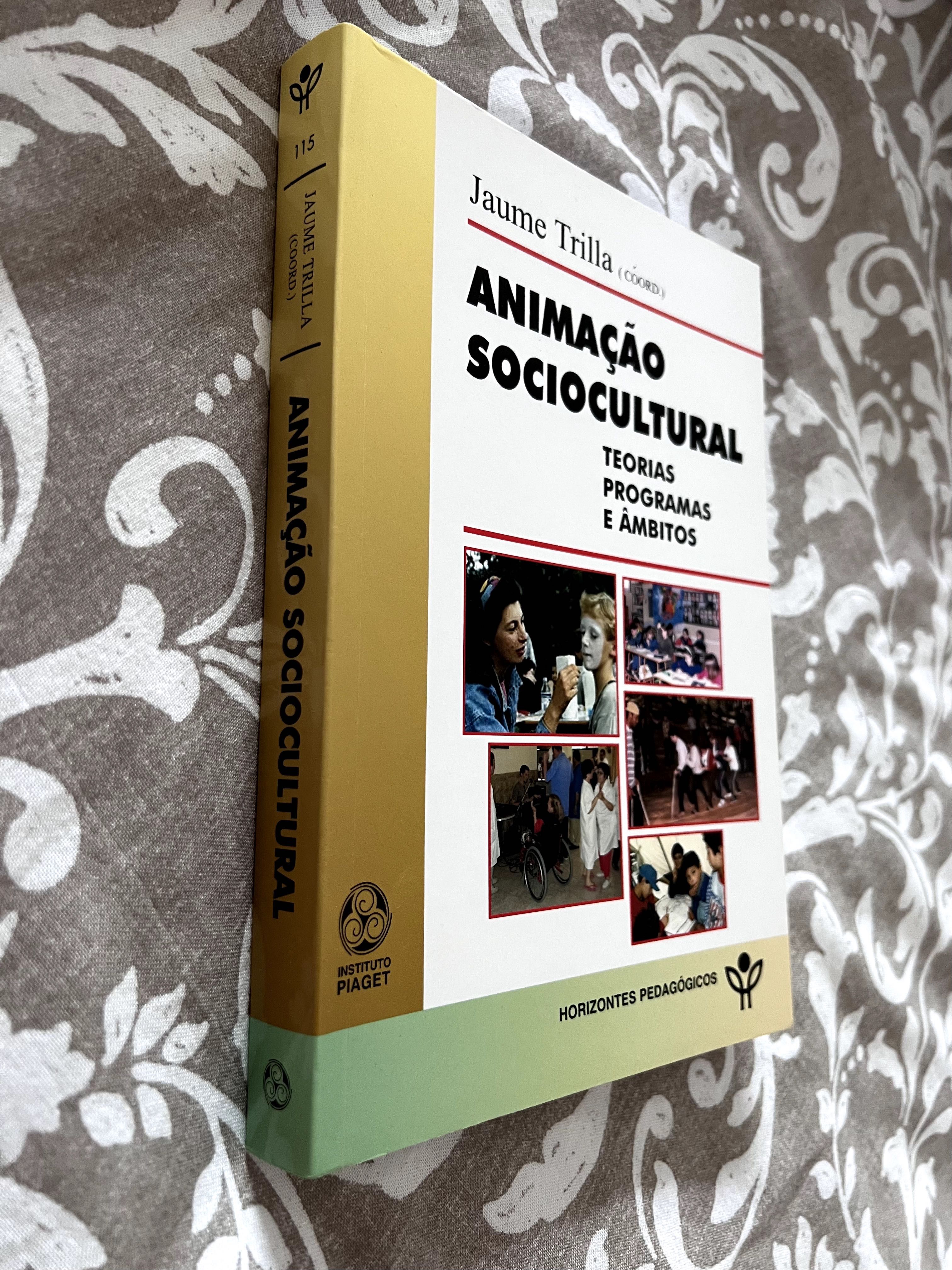 Vendo Livro Animação Sociocultural