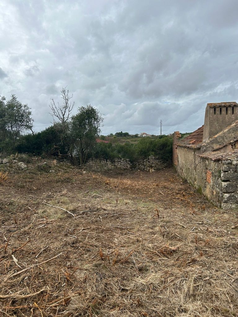 Quinta em alenquer cabecos