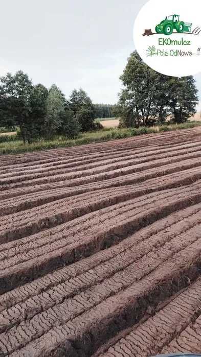 Mulczer frezowanie pni czyszczenie działek mulczowanie usługi działka