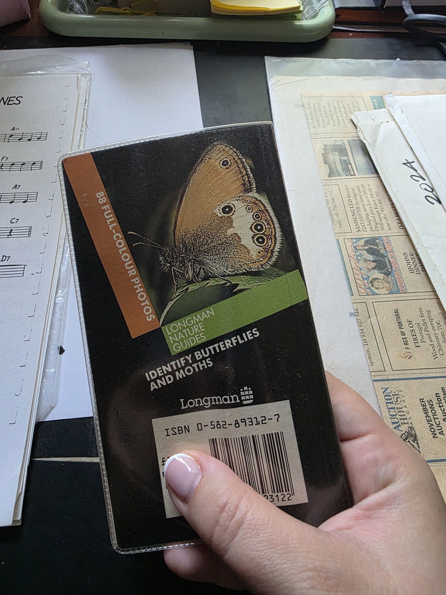 Livro raro sobre borboletas 1986
