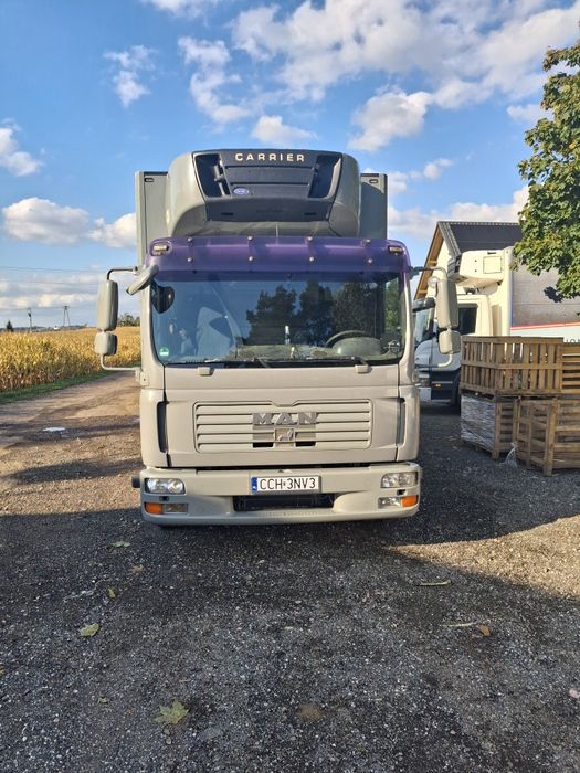 Man Tgl 12.240 Super Stan Chłodnia