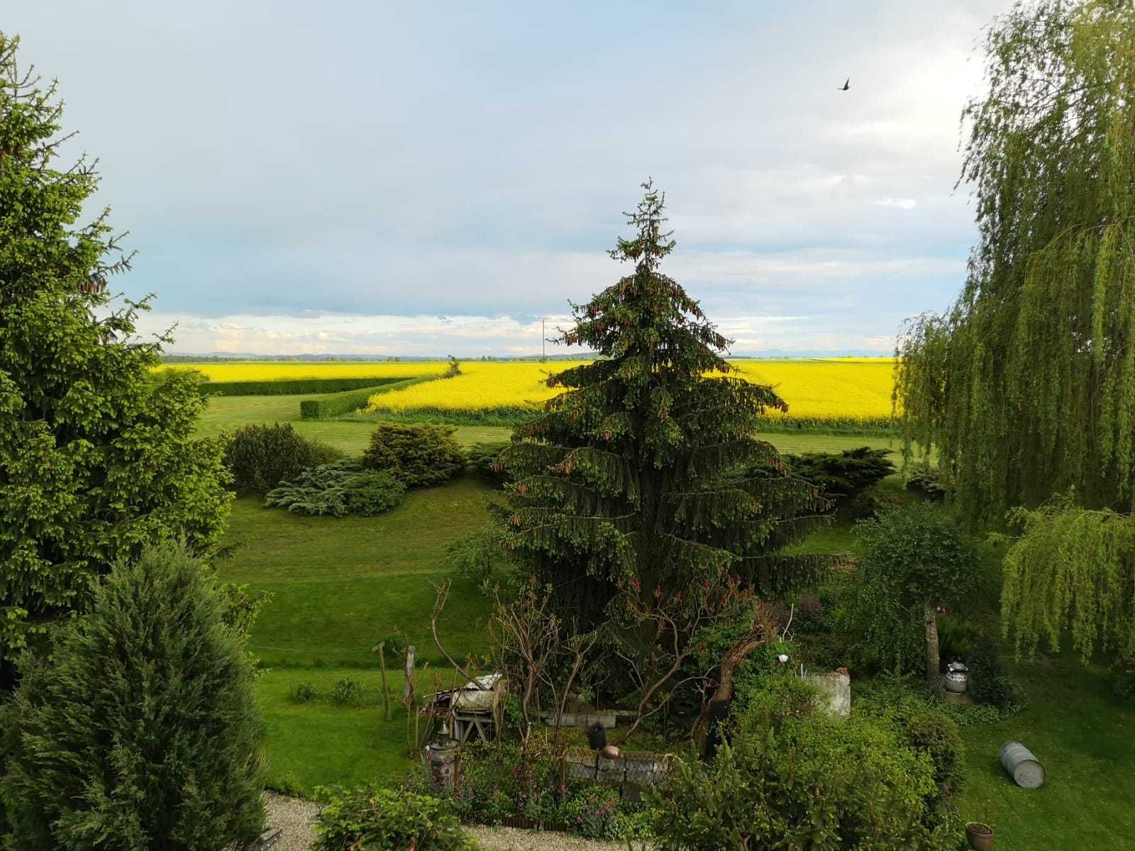 Sprzedam dom w Radziechowie