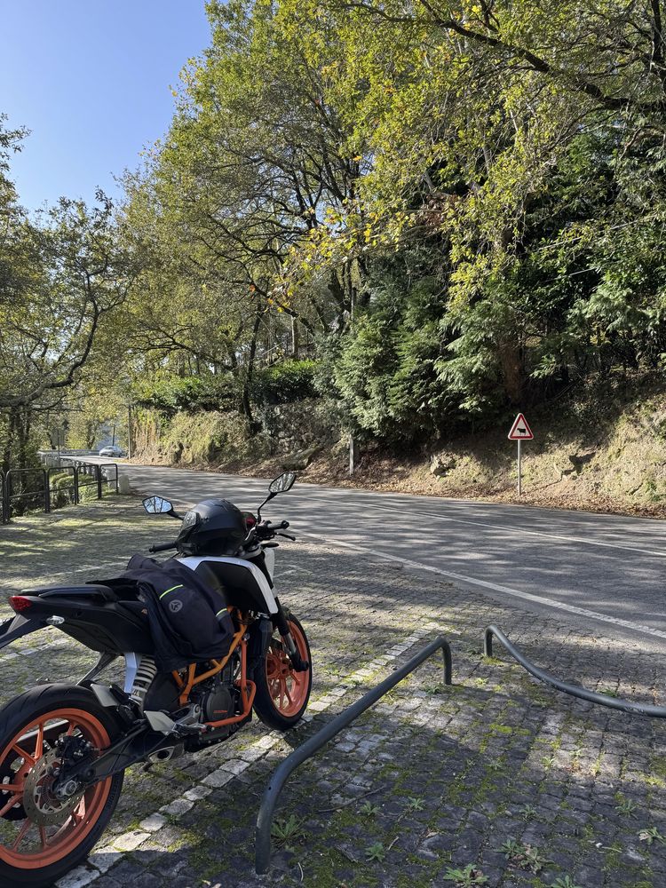 2014 KTM Duke 390