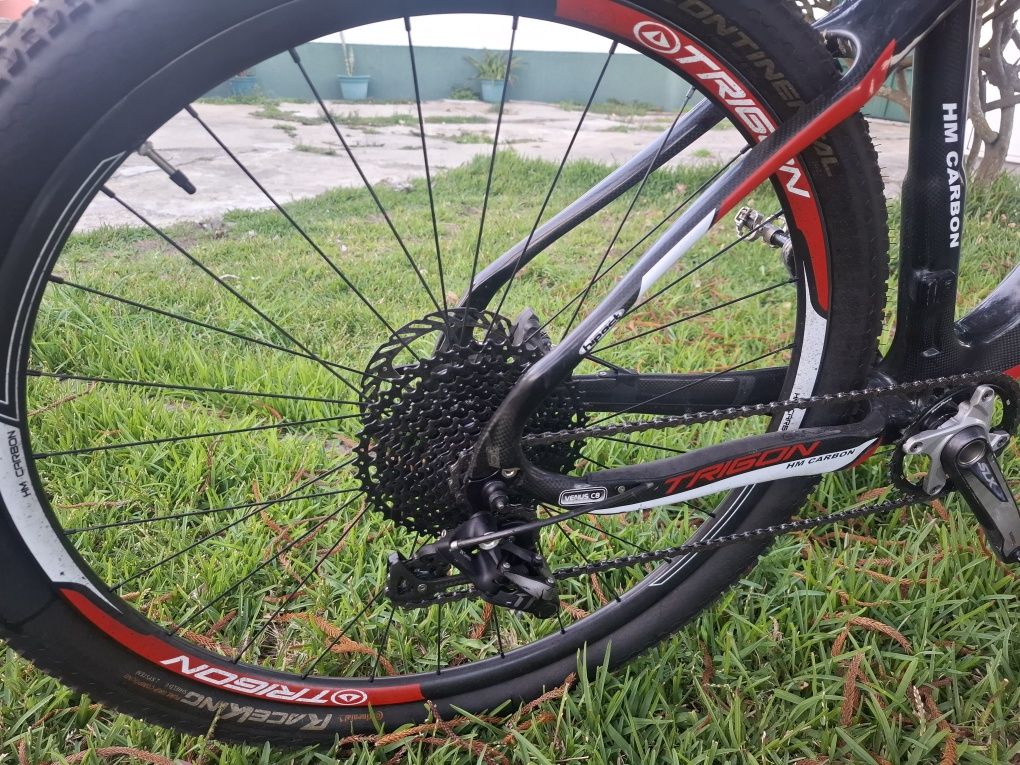 Vendo bike BTT Trigon - Toda em Carbono!
