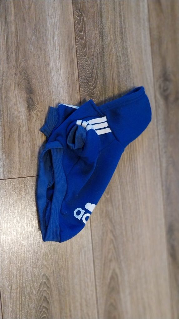 Ubranko pieska r S bluza