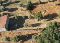 Terreno Para Construção  Venda em Arneiro das Milhariças,Santarém