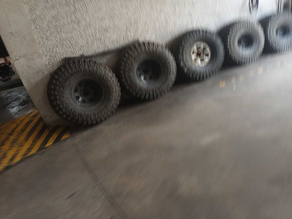 Maxxis Creepy Crawler