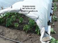Агроволокно 60 г/м² защита от заморозков, (1.6*10м)