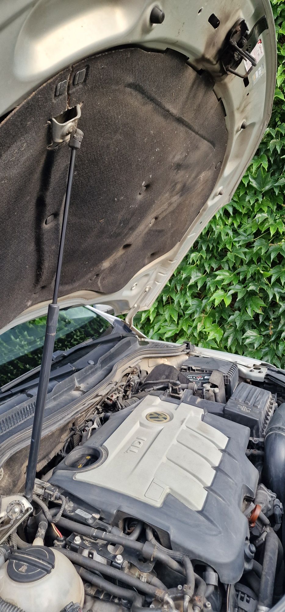 VW Passat CC  coupe