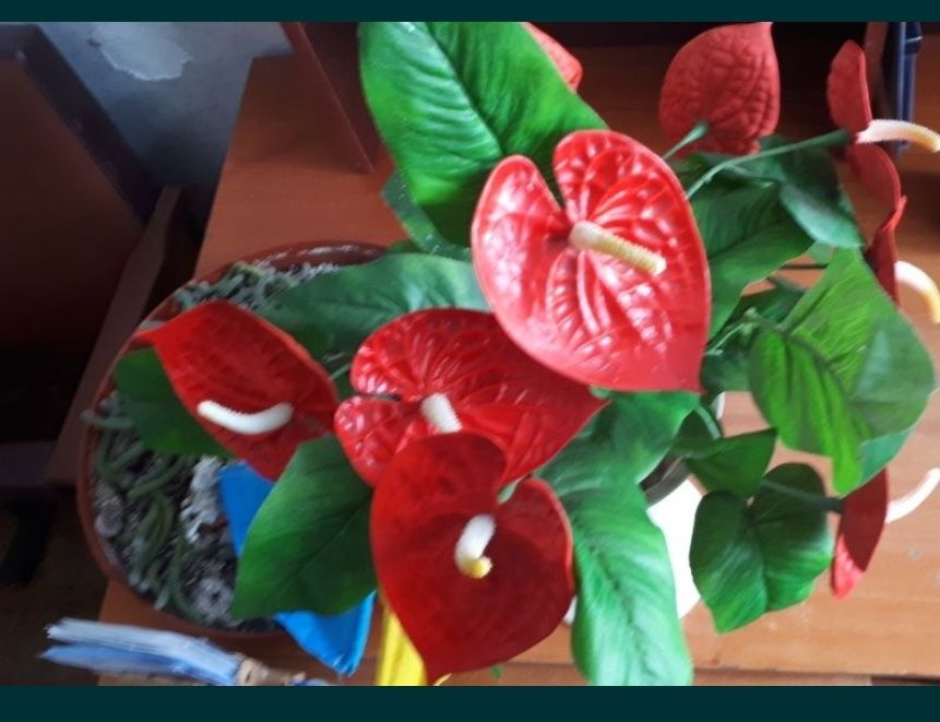 Чаша с цветком. Подвазонник с цветком. 200грн