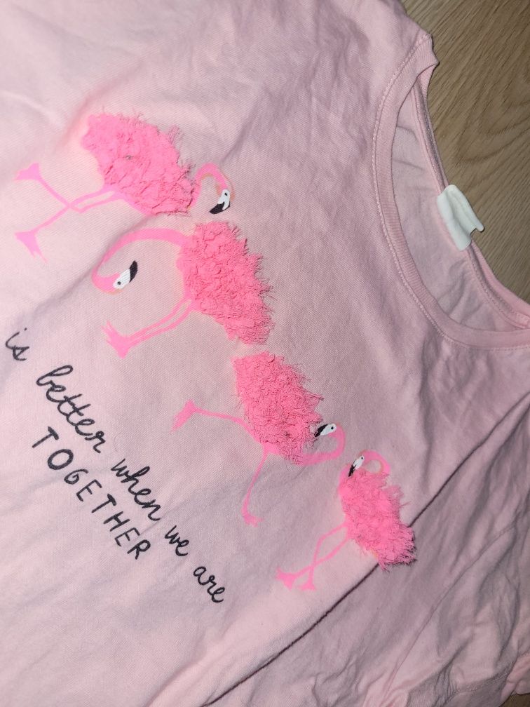 Zara 2x bluzeczka flamingi 122