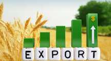 Прибутковість 8% в міс. Експорт української сої до Італії. Агросектоp